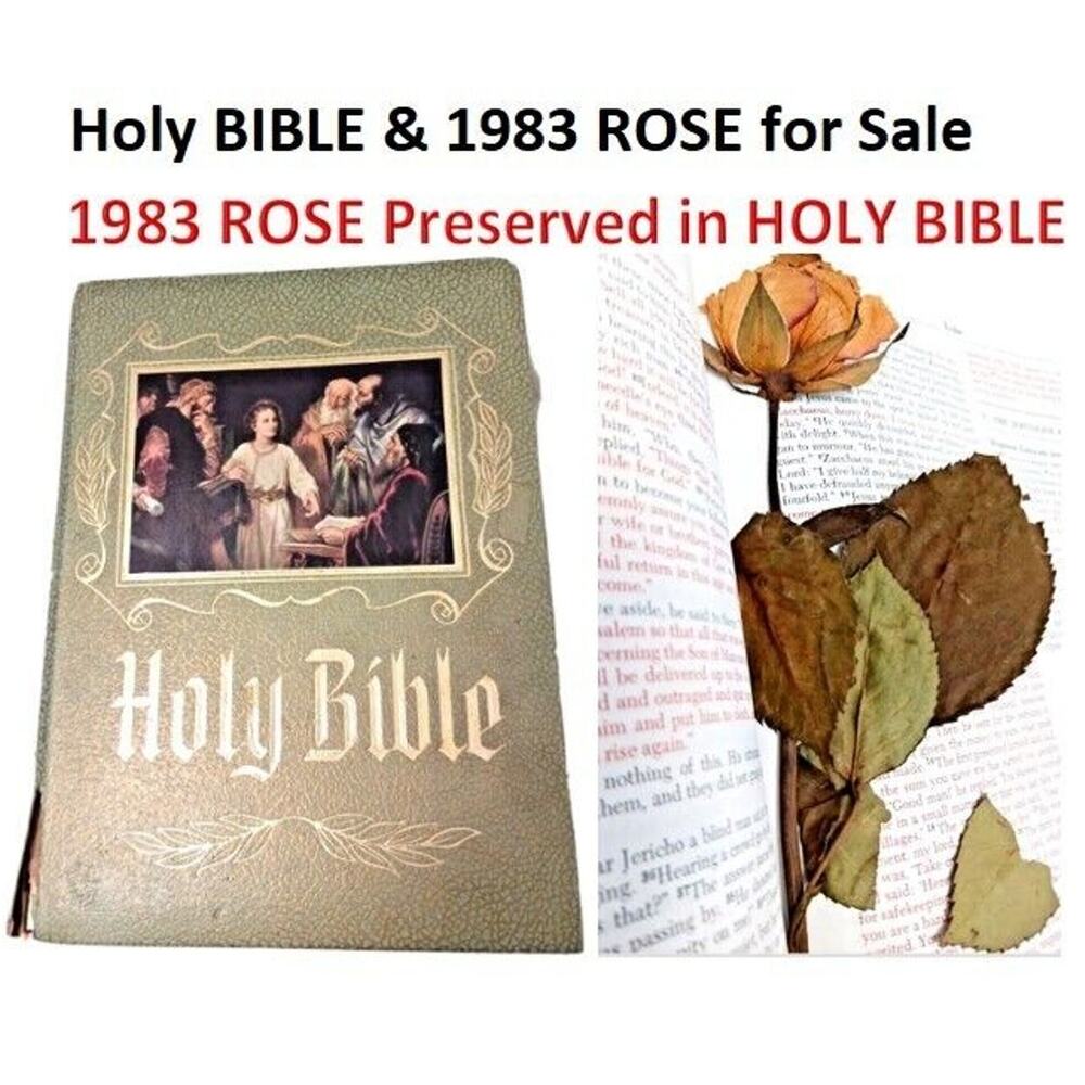 Heirloom Bible with PRESSED ROSE INSIDE! DRIED LONG STEM 1980s VNTG